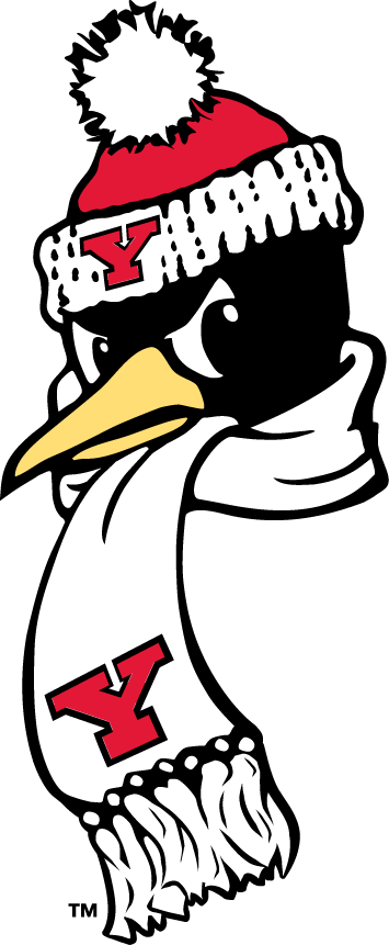 Youngstown State Penguins 1993-Pres Alternate Logo 05 vinyl decal